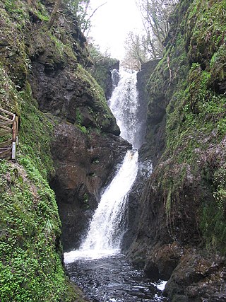 <span class="mw-page-title-main">Ess na Larach</span> Waterfall in County Antrim, Northern Ireland