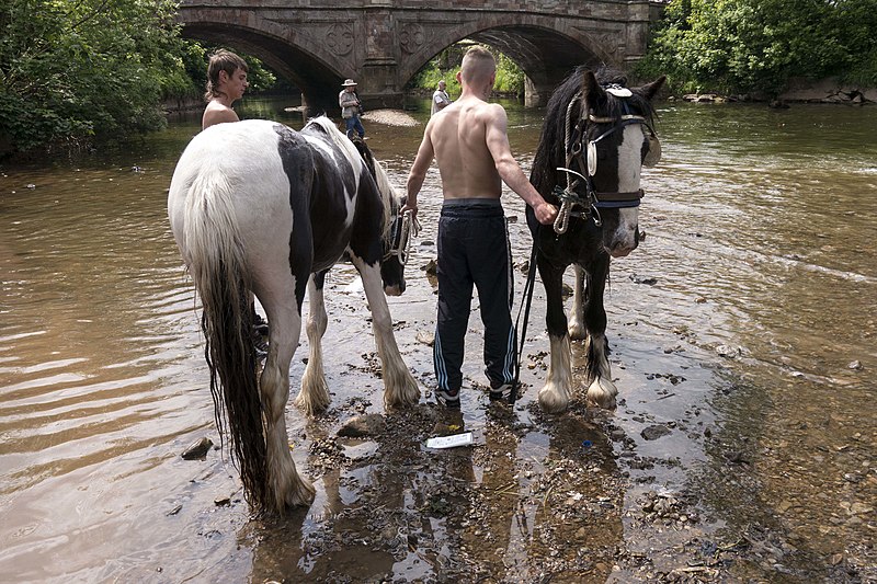 File:Appleby Horse Fair (9000210336).jpg