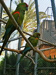 2009 Category Winner, Completed Buildings, Display: CAGES FOR MACAWS IN THE PALM GROVE OF BARCELONA ZOO, Spain, Barcelonaby Batlle & Roig Architects