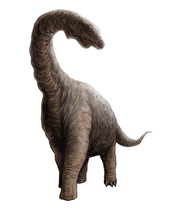 Argyrosaurus Wikiwand