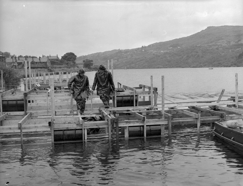 File:Army preparing Padarn Lake for the Empire Games rowing contests, 1958 (18463654423).jpg