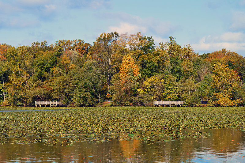 File:Autumn at Smithville.jpg