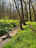 Maibachtal bei Priesen