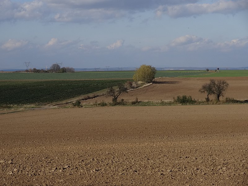 File:Břežany II - výhled ze západního úbočí Chrástnice (260 m) k severu, na křižovatku polní cesty a silnice k Černíkům.jpg