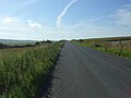 Thumbnail for File:B874 towards Halkirk - geograph.org.uk - 5084068.jpg