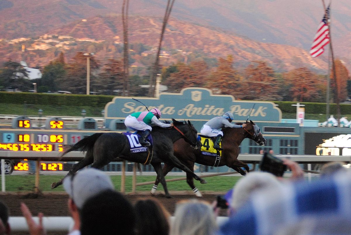 Калифорния хром. Horse Racing Breeders Cup Classic. Breeders Cup nominated. 1 Furlong to Racing Horse.