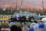 Thumbnail for 2016 Breeders' Cup Classic
