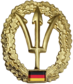 Insignia de boina