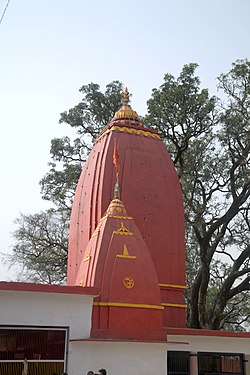 Baba Bhura Dev temple, Shakumbhri Devi - panoramio.jpg