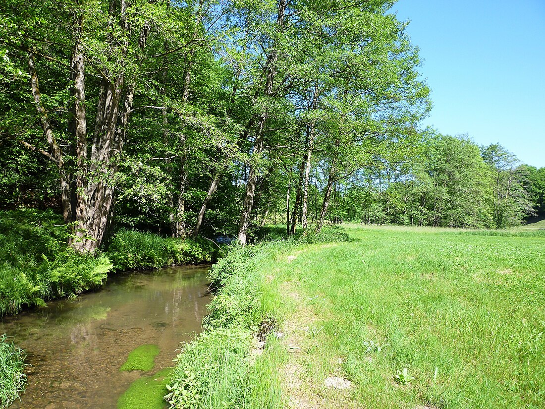 Bayerwaldbäche um Schöllnach und Eging am See