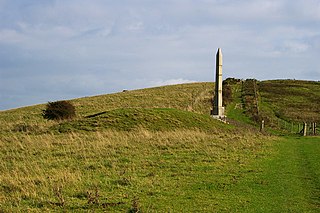 <span class="mw-page-title-main">Ballard Down</span> Area of chalk downland on the Purbeck Hills, Dorset, England