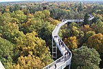 Thumbnail for Tree-top walk Beelitz-Heilstätten