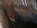 Beke cave (Hungary)-stalactites.jpg