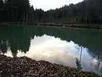 Berghofsee