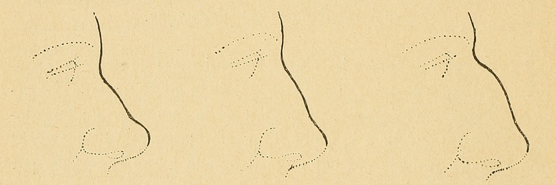 File:Bertillon - Identification anthropométrique (1893) 060.2.png
