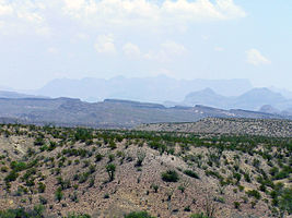 Big Bend National Park PB112582.jpg