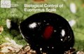 Biological control of euonymus scale (IA CAT31108498).pdf