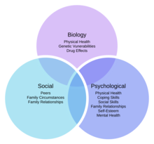 Biopsychosocial Model of Health 1.png