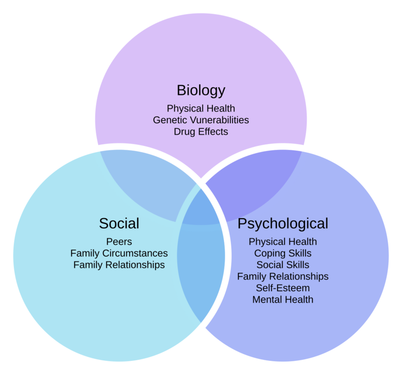 Modelo biopsicosocial - Wikipedia, la enciclopedia libre