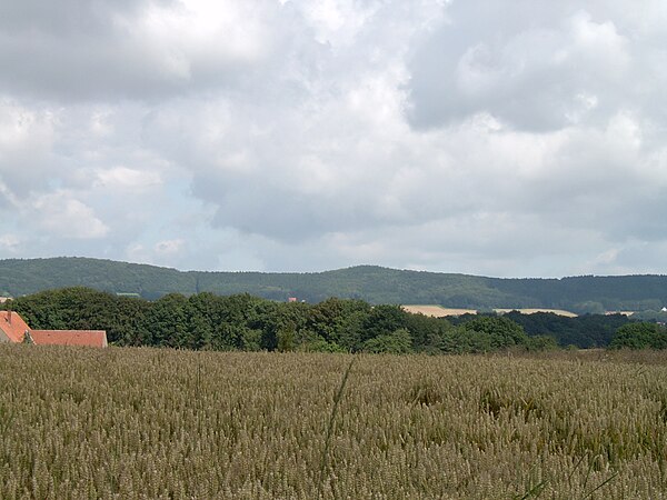 Wiehen Hills