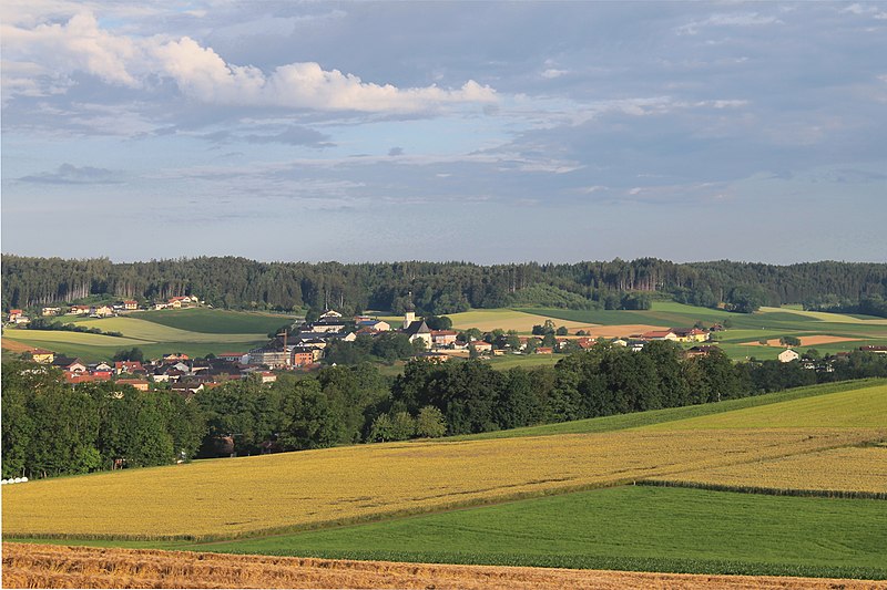 File:Blick auf den Ort Höhnhart vom Grindlsberg aus.jpg