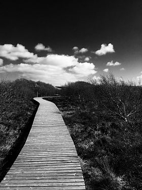 Bohlenweg an der Vogelkoje Meeram