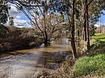 Thumbnail for Boorowa River