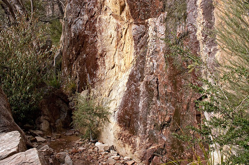 File:Briggs Bluff Walk, Grampians National Park, Victoria Australia (4871020763).jpg