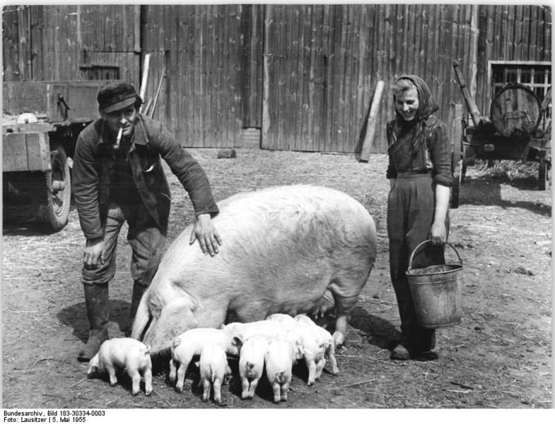 File:Bundesarchiv Bild 183-30334-0003, Bauer Neubert aus Schenkendorf, "Grünes Fließband".jpg