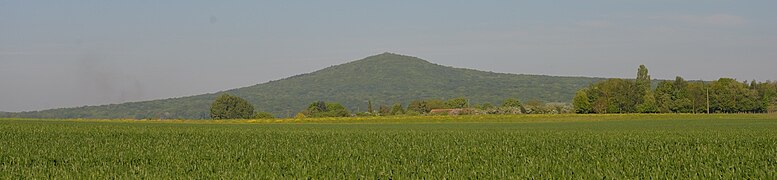 Vue depuis Colombiers.