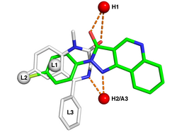 A pharmacophore model of the benzodiazepine site
