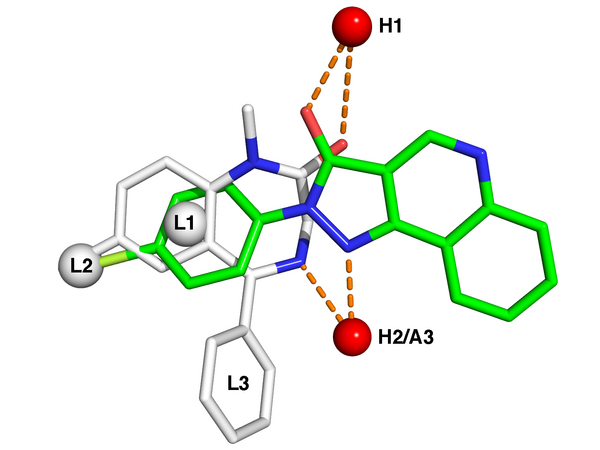 An example of a pharmacophore model of the benzodiazepine binding site on the GABAA receptor.[2] White sticks represent the carbon atoms of the benzodiazepine diazepam, while green represents carbon atoms of the nonbenzodiazepine CGS-9896. Red and blue sticks are oxygen and nitrogen atoms that are present in both structures. The red spheres labeled H1 and H2/A3 are, respectively, hydrogen bond donating and accepting sites in the receptor, while L1, L2, and L3 denote lipophilic binding sites.