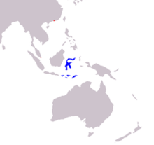 Cacatua sulphurea range map.png