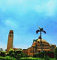 Cairo University- 1.jpg