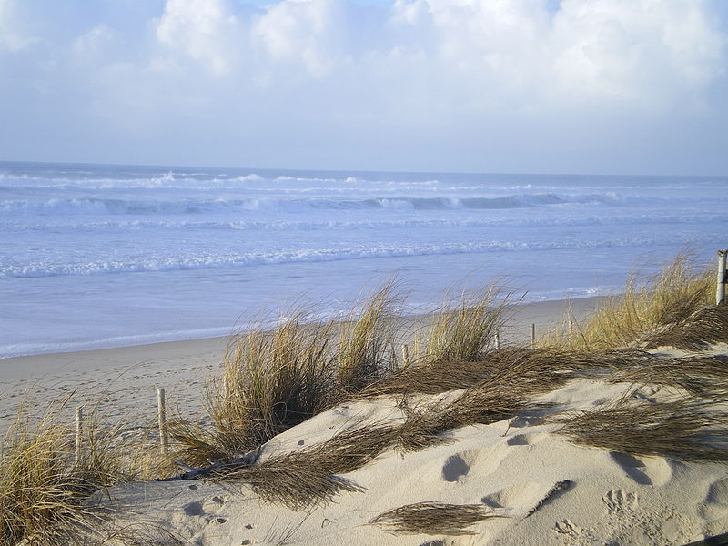 File:Carcans plage.jpg