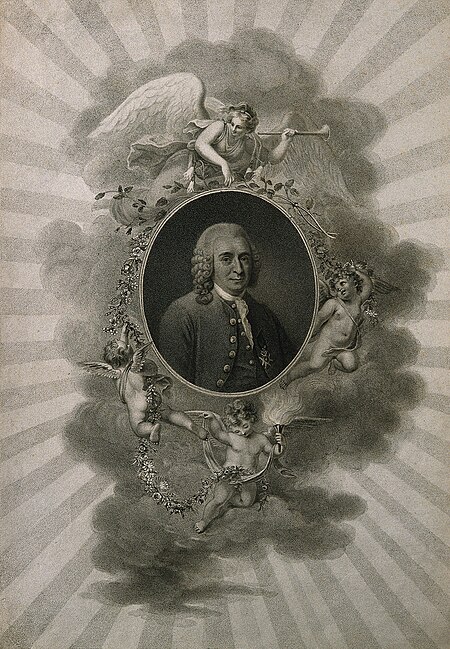 Fail:Carolus Linnaeus. Stipple engraving by H. Meyer, 1806, after Wellcome V0003607 (cropped).jpg