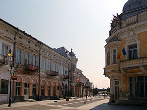 Casco antiguo Bt.jpg