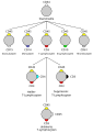 Vorschaubild der Version vom 00:44, 21. Dez. 2009