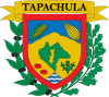 بلدية تاباتشولا