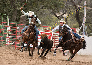 Cochise College Rodeo Cochise College Rodeo.jpg
