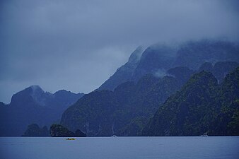 Watershed Forest Reserved in Coron, Palawan. Photograph: Theglennpalacio