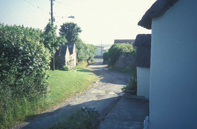 Cott Lane, Petrockstowe