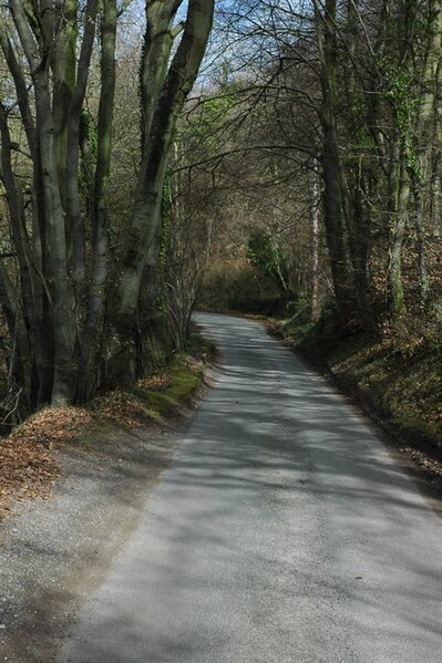 File:Country road at Great Doward - geograph.org.uk - 1208219.jpg