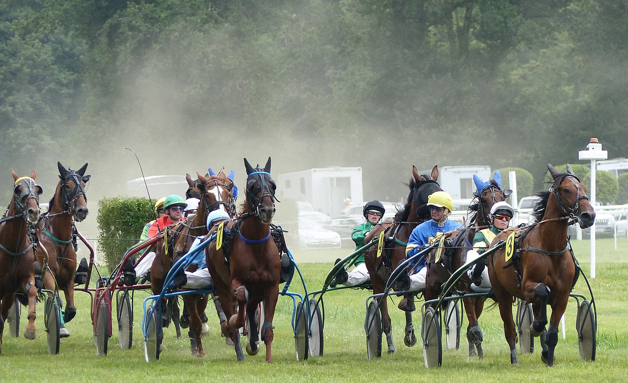 File:Course trotteurs Saint-Jean-des-Prés (2).jpg - Wikimedia Commons