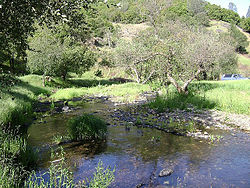 Creek running through Fiddletown, California.jpg