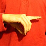 The "D" handshape produced with the the pinky-finger edge of the palm facing the camera