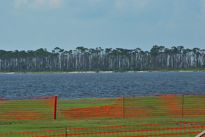 File:Deer Island from Point Cadet (4631009194).jpg