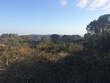 Del Mar Heights, San Diego, CA 92014, USA Del Mar Heights, San Diego, CA 92014, USA - panoramio - Sergei Gussev (5).jpg