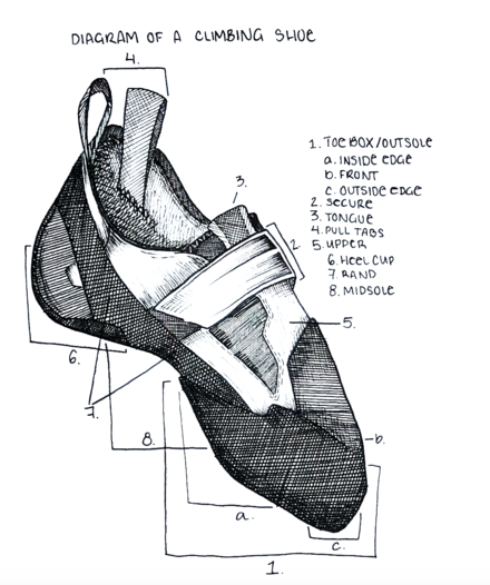 The anatomy of a modern climbing shoe