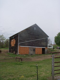 گدھا graze outside this barn on Shadyside Avenue